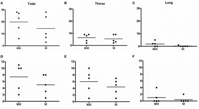 Preliminary Results Indicate That Inactivated Vaccine against Paratuberculosis Could Modify the Course of Experimental Mycobacterium bovis Infection in Calves